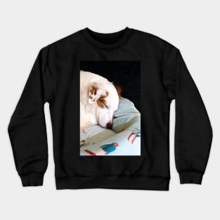 Brittany Spaniel pup sleeping Crewneck Sweatshirt